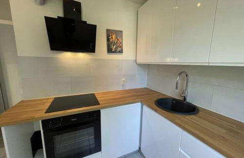 Am Ring Monteurzimmer Apartment Böhlen - Foto 13