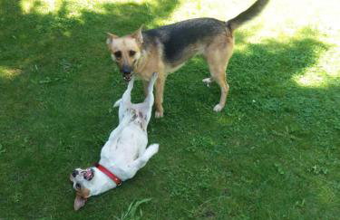 White & Black - Photo 13