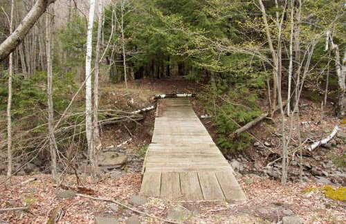 1894 Catskills Farmhouse Retreat - Foto 32