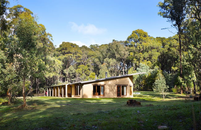 Gumtree Spring - Foto 26