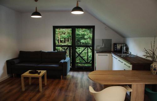 Siedlisko Owink - Foto 14