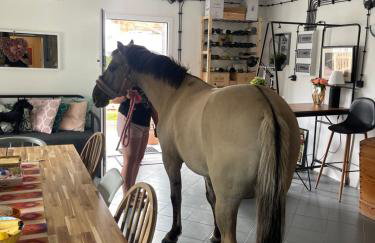 Winnica Bursztynowa - Foto 22