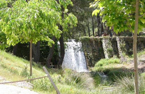 La Encina B - Foto 18