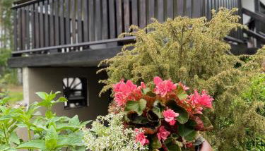 Biały Domek nad Wkrą - Foto 4, Garden