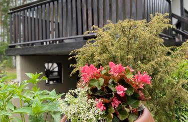 Biały Domek nad Wkrą - Foto 4