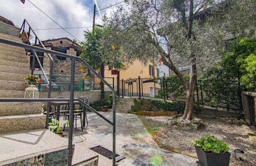 All Ulivo - Photo 40