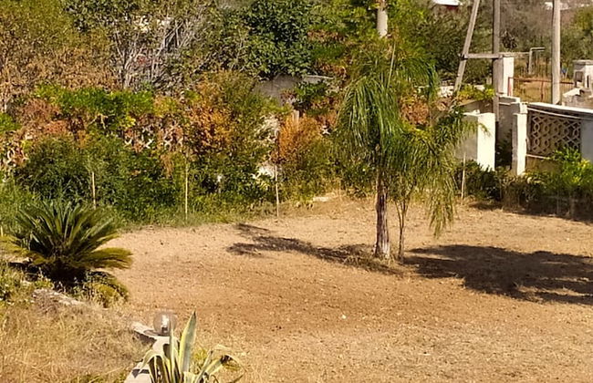 Agriturismo Vivinatura - Foto 34