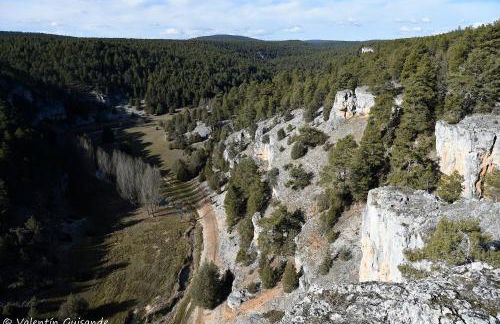 El nido del Mirlo - Foto 55