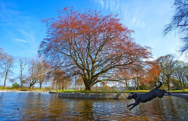 City Apartment With Rural Charm - Foto 30