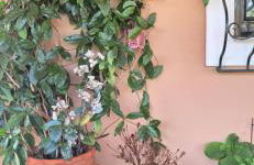 FarmHouse near Airport - Foto 20