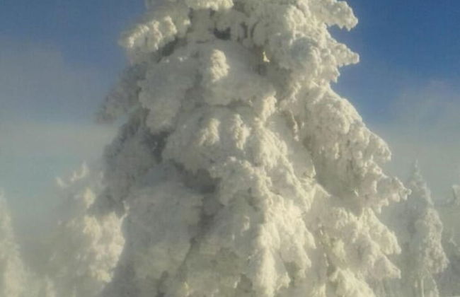 Holiday Apartment Family Kreissl - Foto 22