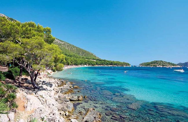 Visite a Praia de Formentor de Catamarã com Fundo de Vidro - Foto 1