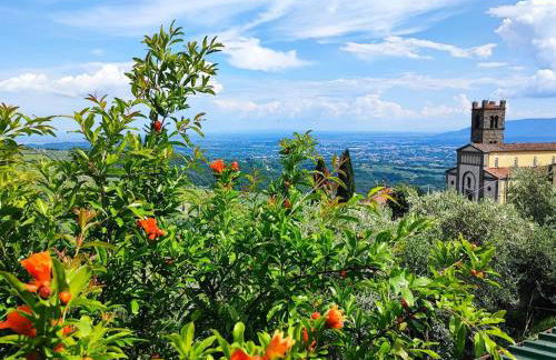 Tenuta Lombrica - Foto 34