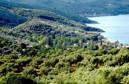 Chorto Garden Home - Foto 12