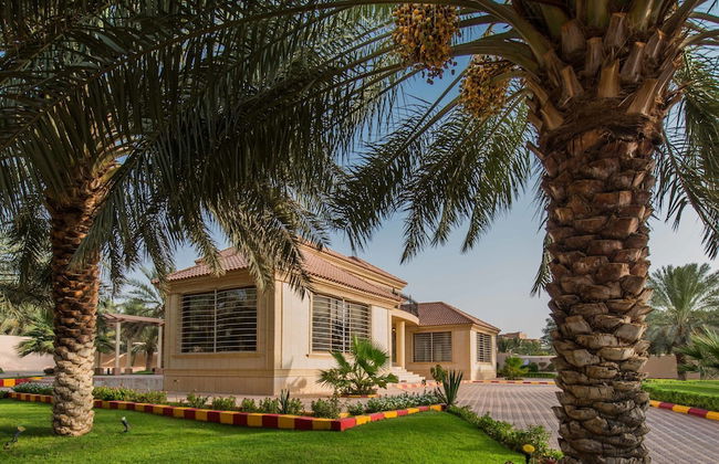 Boudl Nakhil - Foto 39