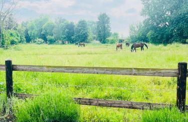 Landhaus Bachglück - Foto 71