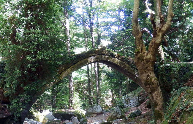 Villa Zina Studio 4 Pelion - Foto 16