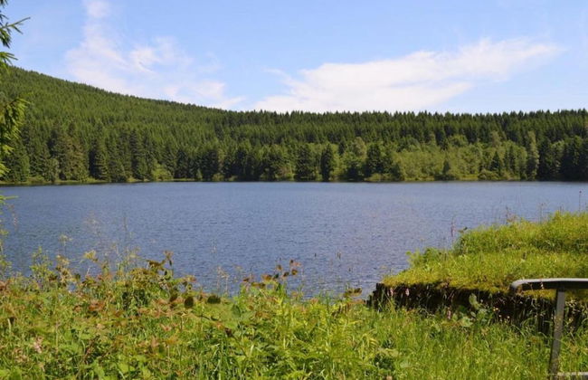 Enchanting Holiday Flat in the Harz Mountains - Foto 29