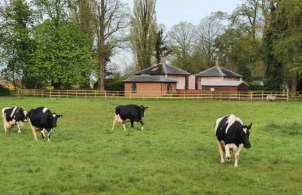 1 Bed in Wymondham oc-w30597 - Foto 9