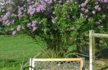 grand gîte à la campagne - Foto 18