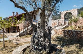 ARADENA TRADITIONAL House 1 - Photo 18