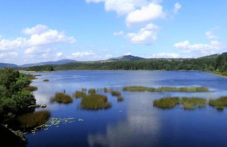 Airie Farmhouse - Foto 17