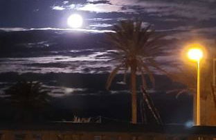 Almerimar Paraiso al Mar - Foto 43