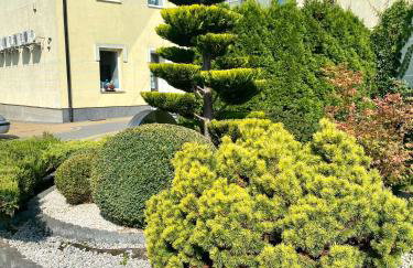 Apartamenty i pokoje „Pod Jedynką” - Foto 52