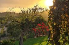 Villa Sa Teulera ETV7398 - Foto 47