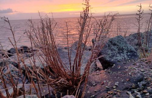 Ferienhof Landfrieden - Foto 13