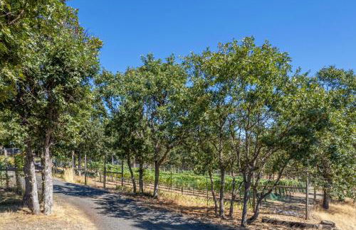 Happenstance Vineyards King Rooms - Foto 31