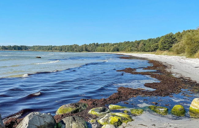 4 Star Holiday Home in Solvesborg-by Traum - Foto 10