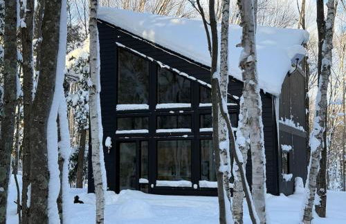 Distinctly modern cabin on quiet Northwoods lake - Foto 7