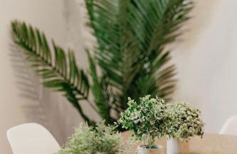 Puamana Maluhia - Two Bedroom / Two Bath Condo - Foto 31