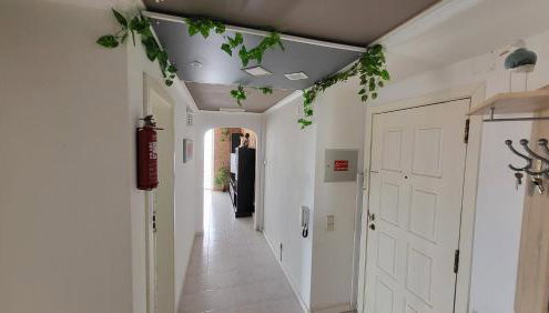 Dans les nuages - Photo 4