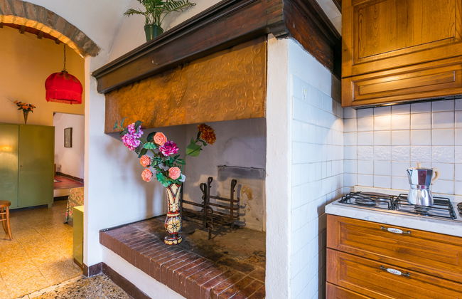 Fattoria Petraglia - Di Mezzo (MTG202) - Foto 7