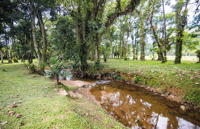 CASA BAMBU ANGRA - Foto 29