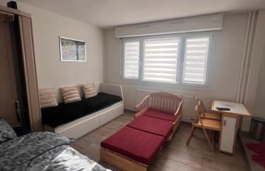 STUDIO 50m de gare de st-louis - Photo 7