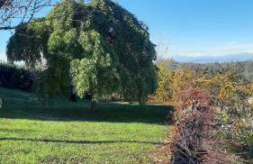 Casa Nonna Ada - Foto 21