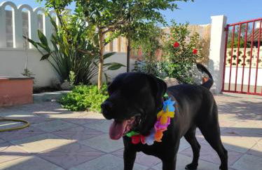 Villino Il melograno - Foto 38