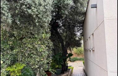 Villa Galiana By Florentia Homes - Foto 14