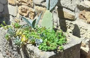 Cozy barn in the green - Foto 25