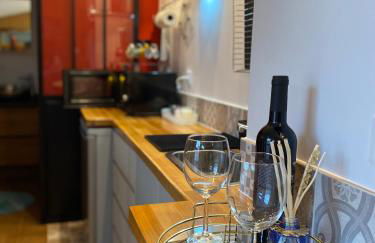 Paris-Zénith-bienvenue-terrasse-Netflix - Foto 7