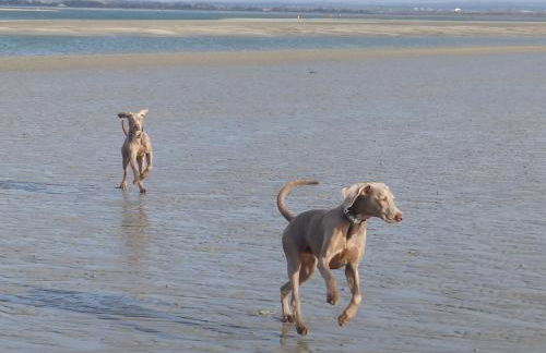 The Cabin, Roundabout Lane - Foto 41