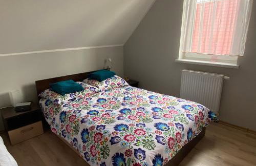 DOM NA KASZUBACH, SAUNA i BALIA - Foto 8