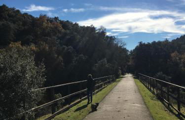 La Escribana - Photo 56