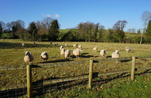 The Byre at Mill Farm Farlow - Photo 11