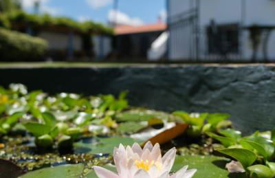 Quinta Morazes Casas de Campo - Photo 6