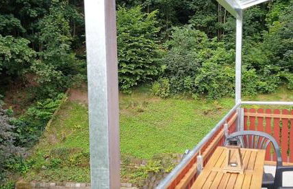 FeWo mit Balkon direkt am Wald und Wanderweg Ruhe pur 2 OG - Foto 19