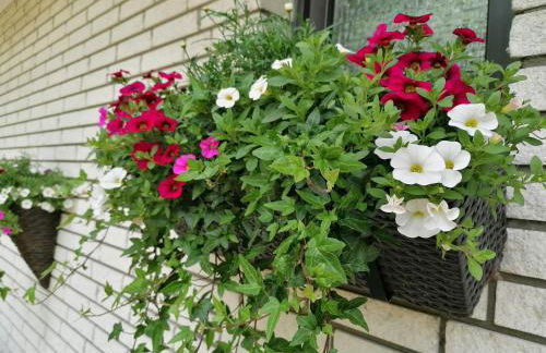 Ferienwohnung Schwalbennest - Foto 10